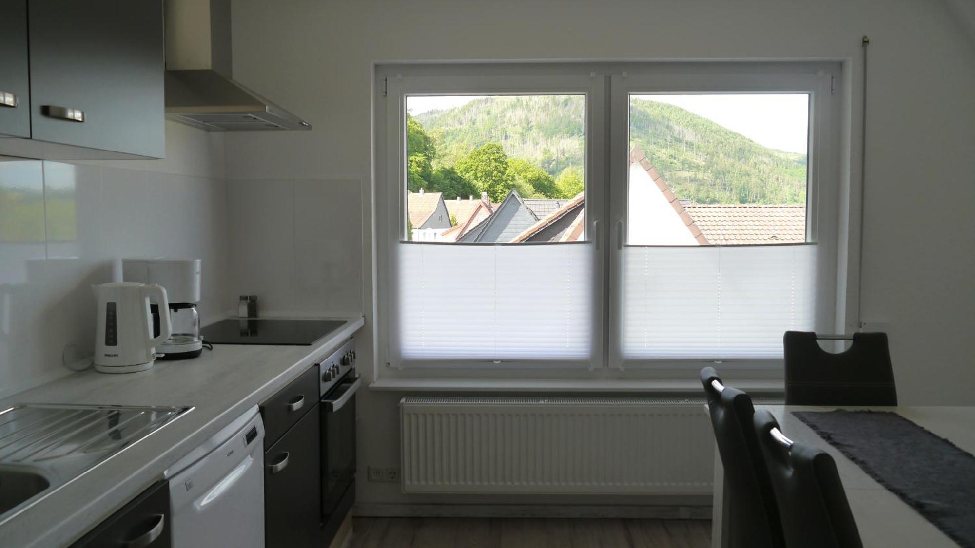 Ferienwohnung Okerblick ゴスラー エクステリア 写真